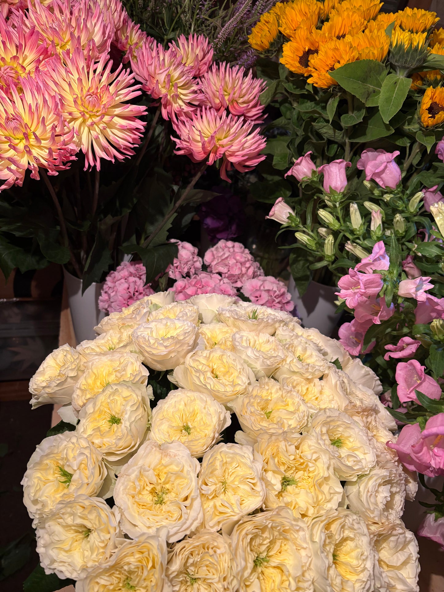 Bouquet surprise