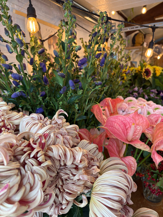 Bouquet surprise