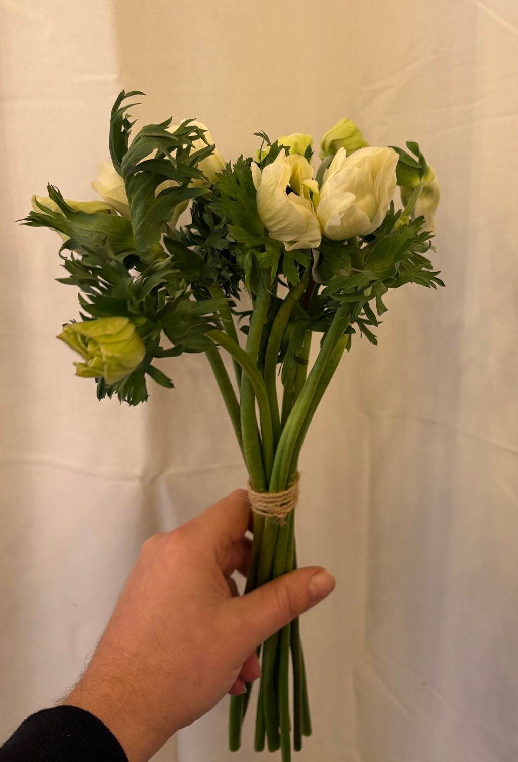 Bouquet d'anémones