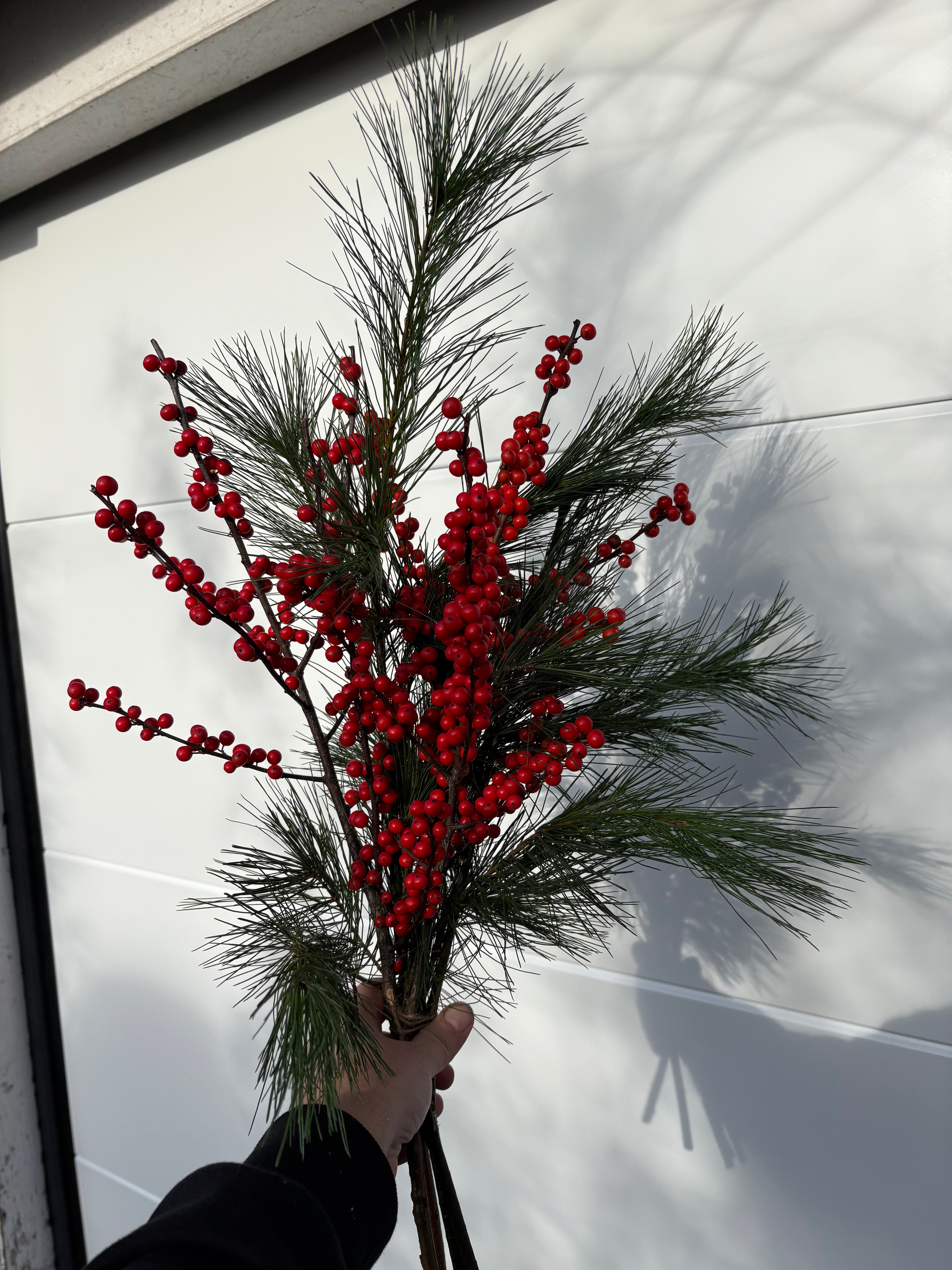 Bouquet d'ilex et pin